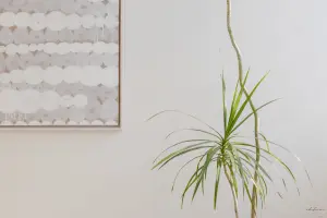 화이트 아트워크와 플랜테리어의 미니멀 조화